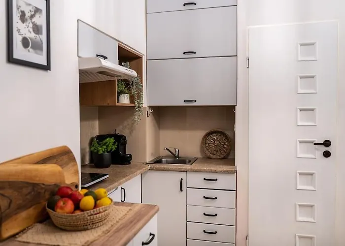 St. 公寓 克拉科夫